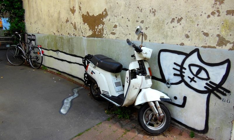 Le Chat et son Vespa