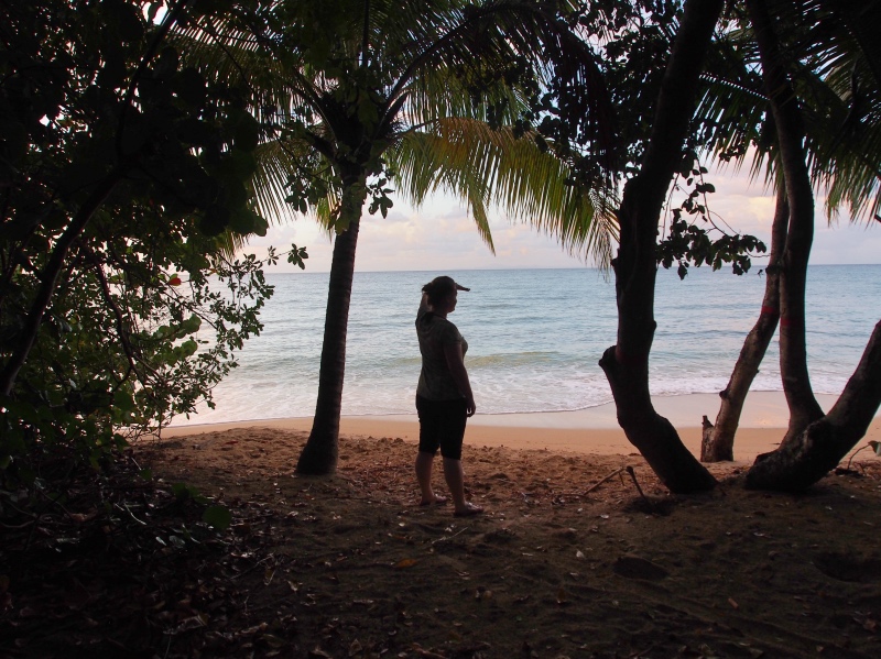 Sainte-Luce-Martinique