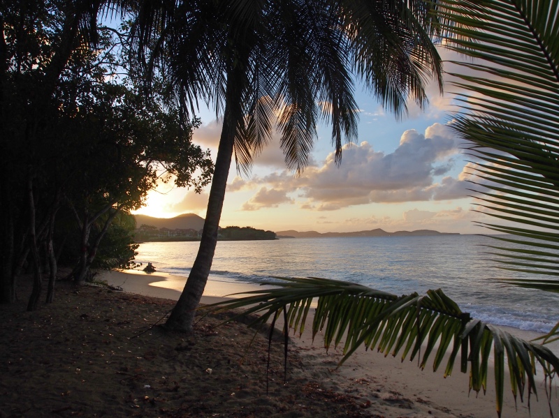 Sainte-Luce-Martinique