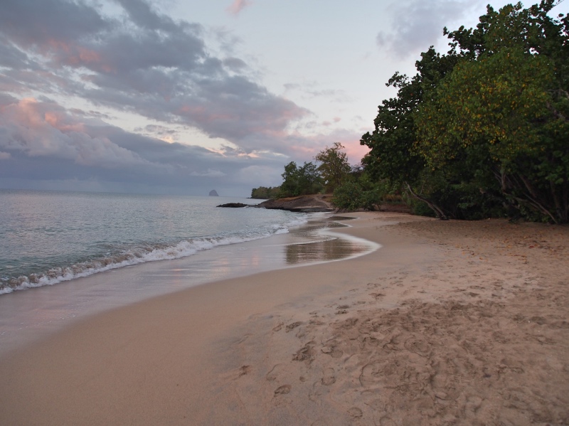 Sainte-Luce-Martinique