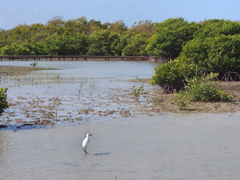 etang-des-salines