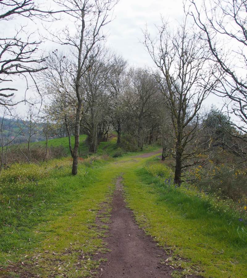 chemins-randonnee-suisse-normande