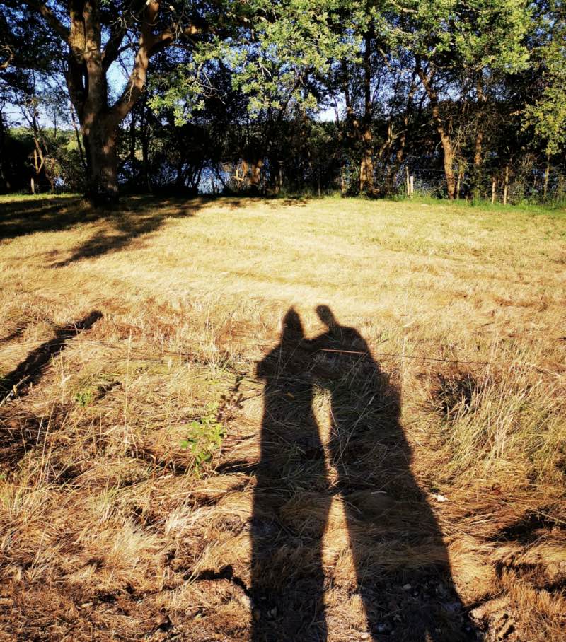 Promenade en amoureux