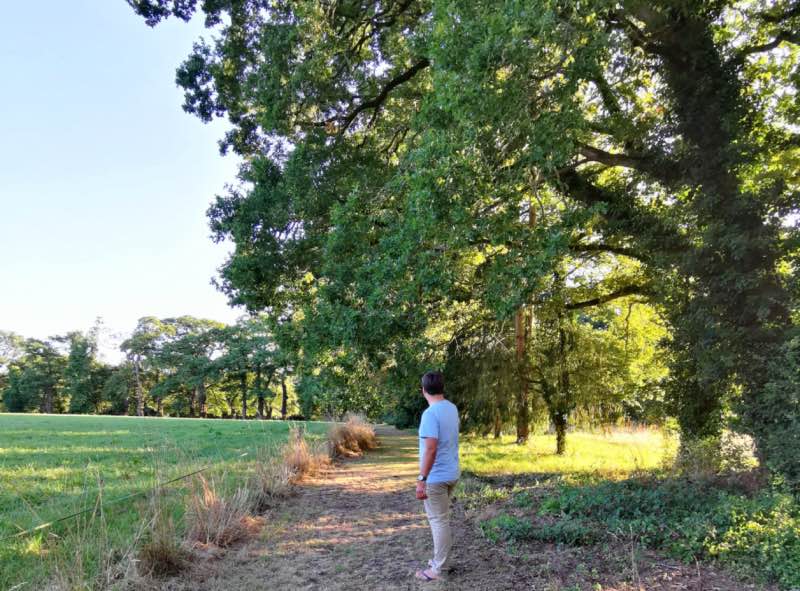 Promenade dans le parc après le dîner